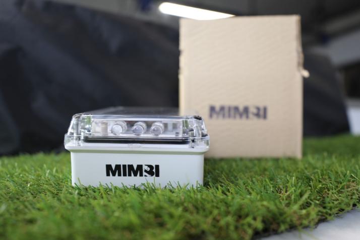 Mimbi